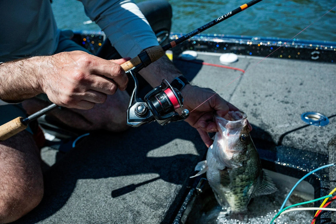 How to Buy Shimano Japan Fishing Reels from Overseas