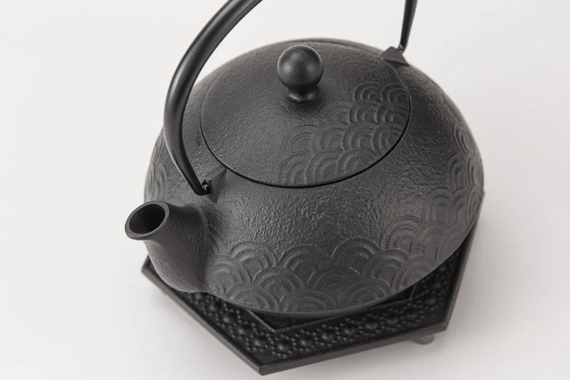 Iwachu - Teapot for both iron kettle and 5 types Qinghai wave set