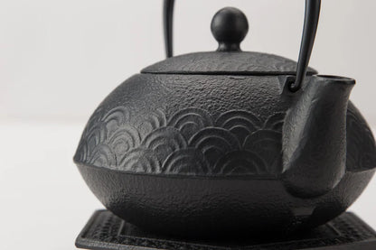 Iwachu - Teapot for both iron kettle and 5 types Qinghai wave set