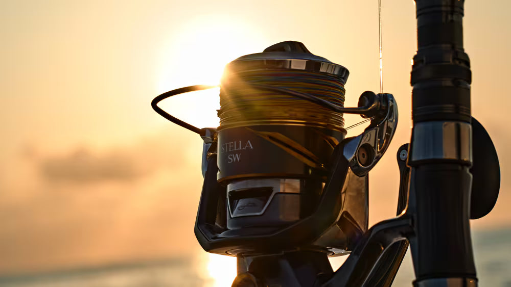 Shimano - 25 Stella SW 10000PG Spinning Reel