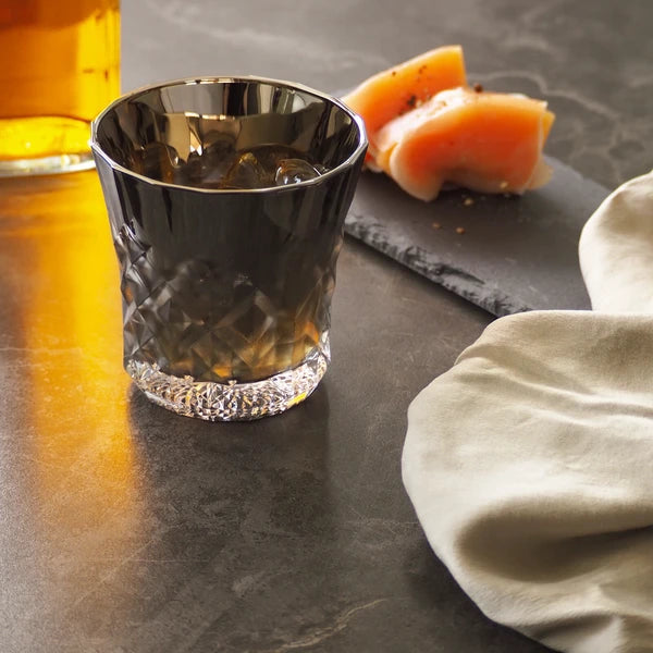 PROGRESS - Rex-Silver Titanium Whisky Glass Made in Japan
