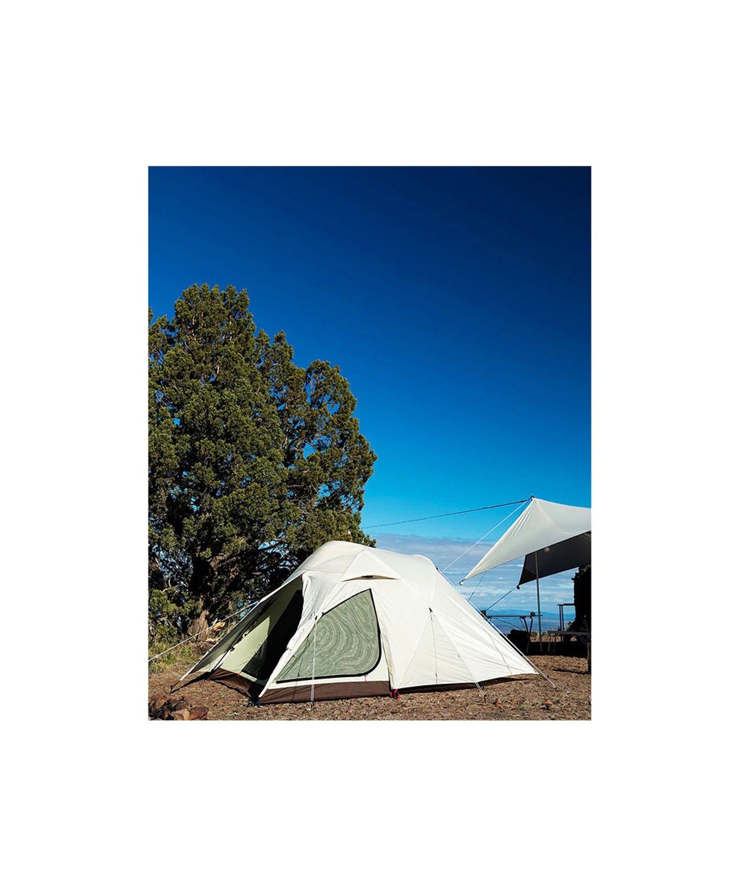 Snow Peak - Alpha Breeze