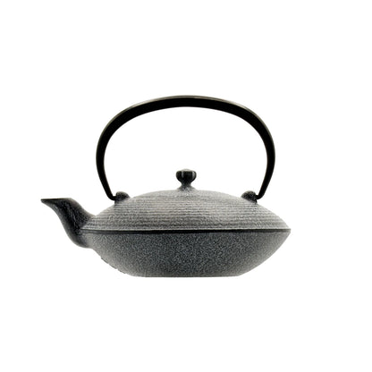 OIGEN - Sayo Cast Iron Teapot Set (0.4L) with Trivet – Made in Japan