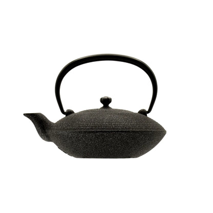 OIGEN - Shinyo Cast Iron Teapot Set (0.4L) with Trivet – Made in Japan
