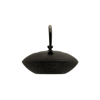 OIGEN - Shinyo Cast Iron Teapot Set (0.4L) with Trivet – Made in Japan