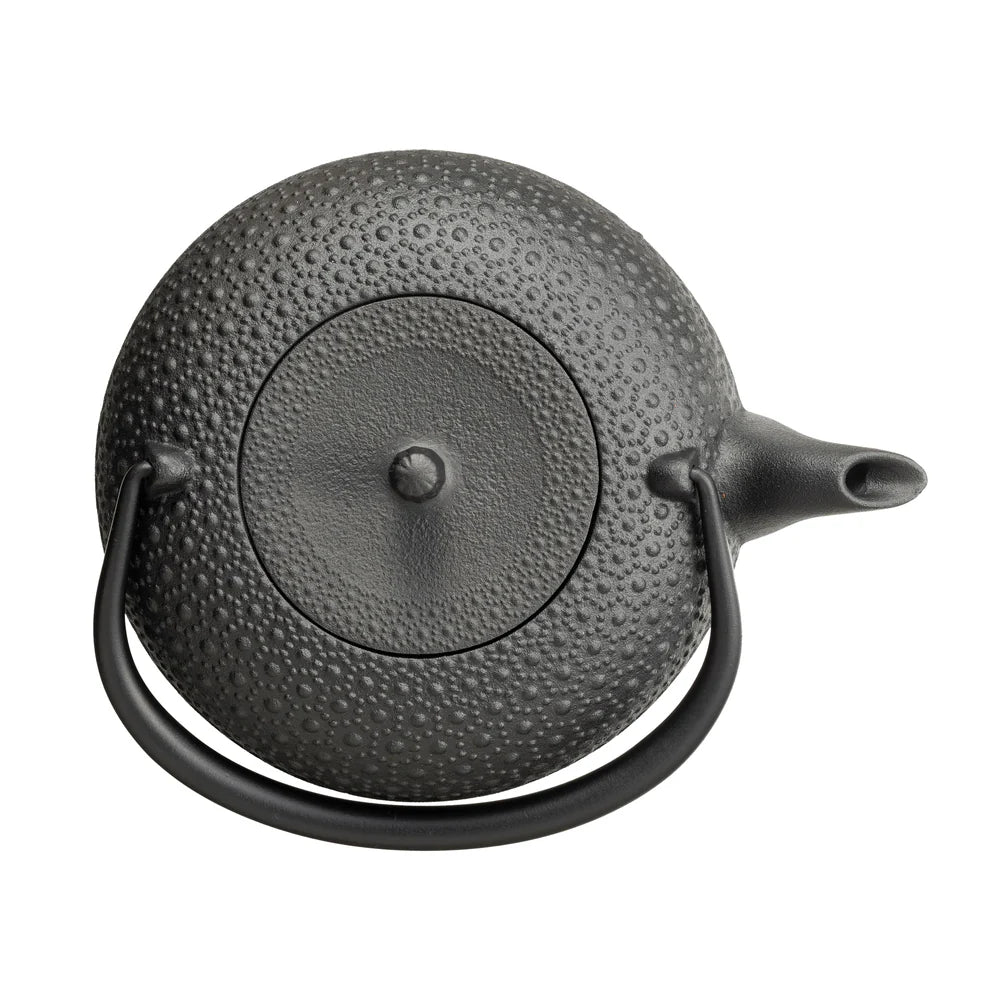 Oigen - Shinonome Kikko Iron Kettle 1L